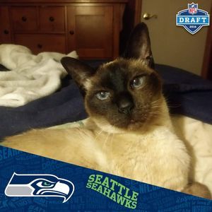 Meet your Posher, Debbie